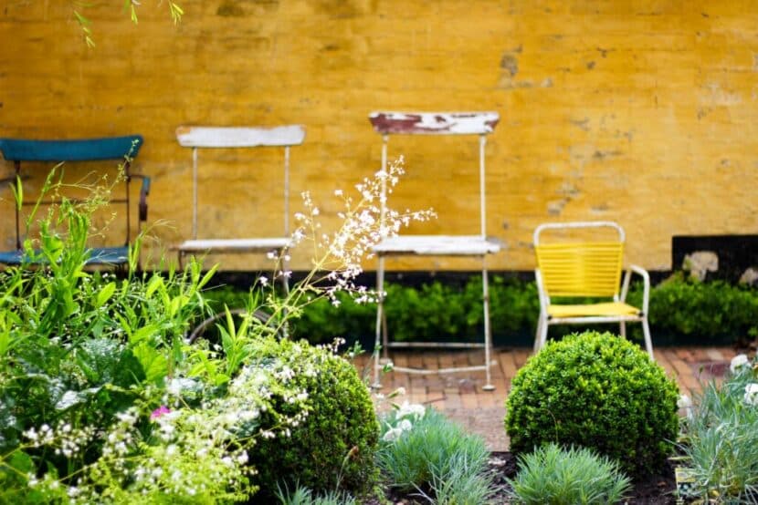 Barndomshjemmets Have