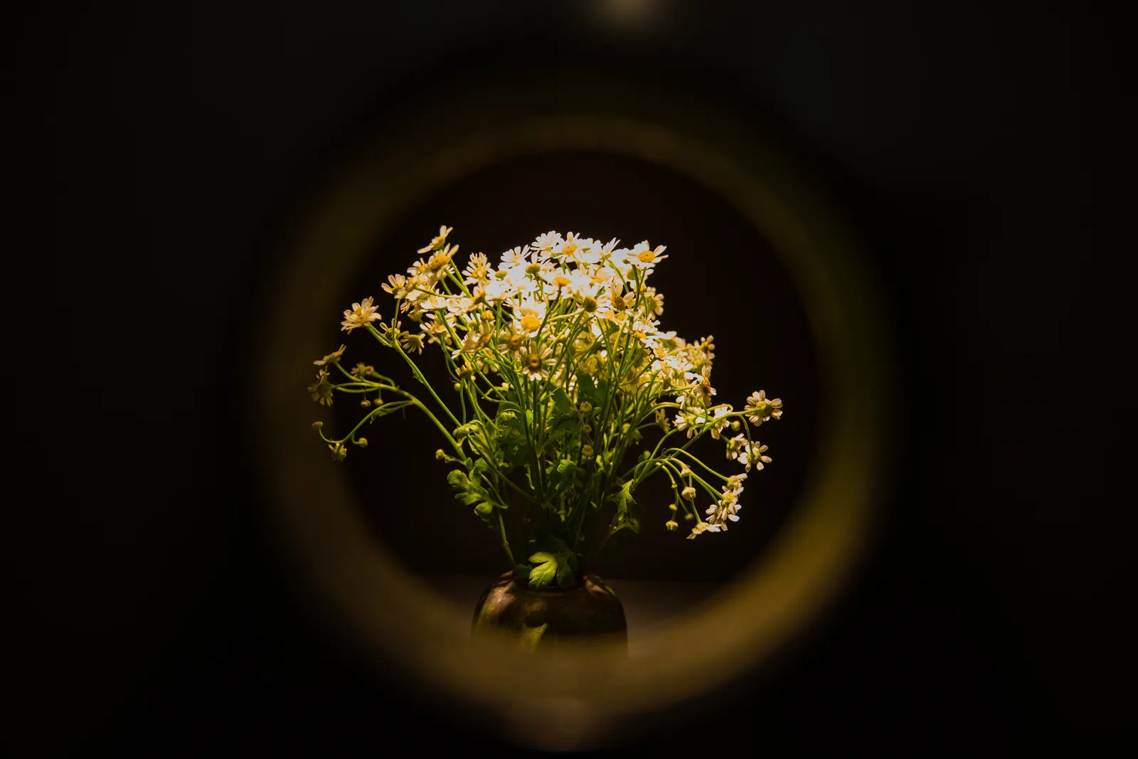 And a little flower