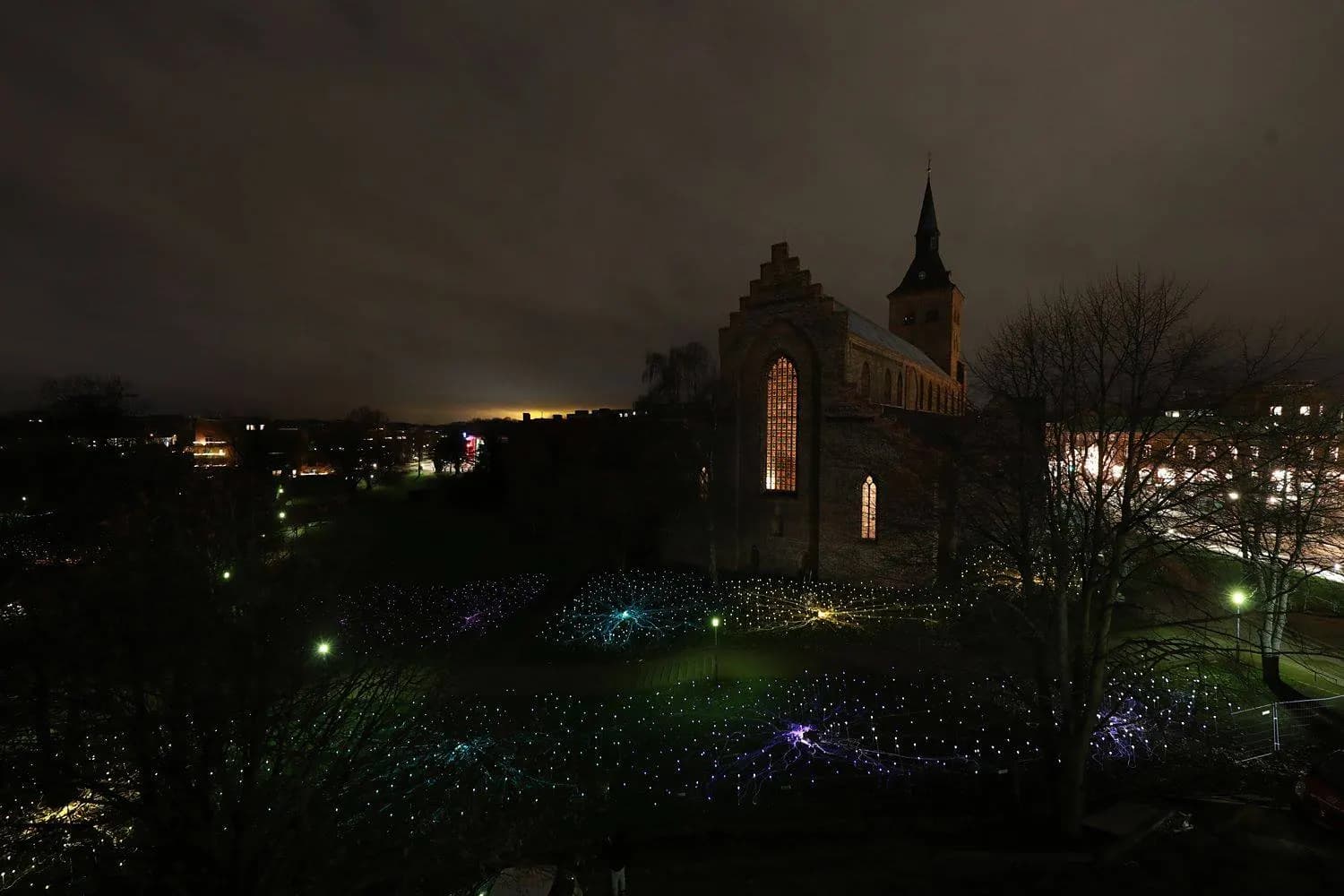 Field of Light
